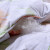 富アンナの家纺の羽毛布団の95%の白フザは冬の厚い芯に保温されます。四季冬は95%の白フザによって浅唱されます。1.8/2 mベドは適用されます。（230＊229 cm）