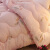 南极人の家纺は冬に厚い保温羽绢をプラスして芯のファンの不普リングの繊细な布团に皮にして柔らかいです。ダブル春冬は四季によって玉色の羽150*200 cm標準に保温されます。冬は2 kgです。