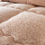 【枕芯を送る】ホリプロは子羊のダンベル冬を本当に似ています。学生寮にシングベルが付いています。秋冬の布団を芯に厚くした年齢布団のベベルジュジュ色をそのままにしています。羊のぬぐみ150*200 cmで約5斤です。
