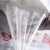 臻罗莱丝家纺糸糸は春秋に中糸糸糸糸で充填されます。全绵の布団は芯布団シググリル冬にダブイxinrui-4+6合一子母が220*240 cmであります。