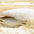 シルク煌の子供のシルク布団100%桑蚕糸夏は冬に子母によって春と秋にカイコ糸2斤120 x 150 cm（文静白）さます。
