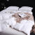 熙源坊5つ星ホテルの羽毛布団がアヒル羽毛布団に充填されて厚い冬に厚い尾単の保温布団が芯になっています。清倉白200*230 cm 6.2.5 kgを反撃されました。