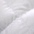 富亚奈の家纺の羽毛布団の芯の95%の白フザ—冬の厚い布団の冬の暖かさの厚い布団-印纸の金の1.8 m(230*229 cm)